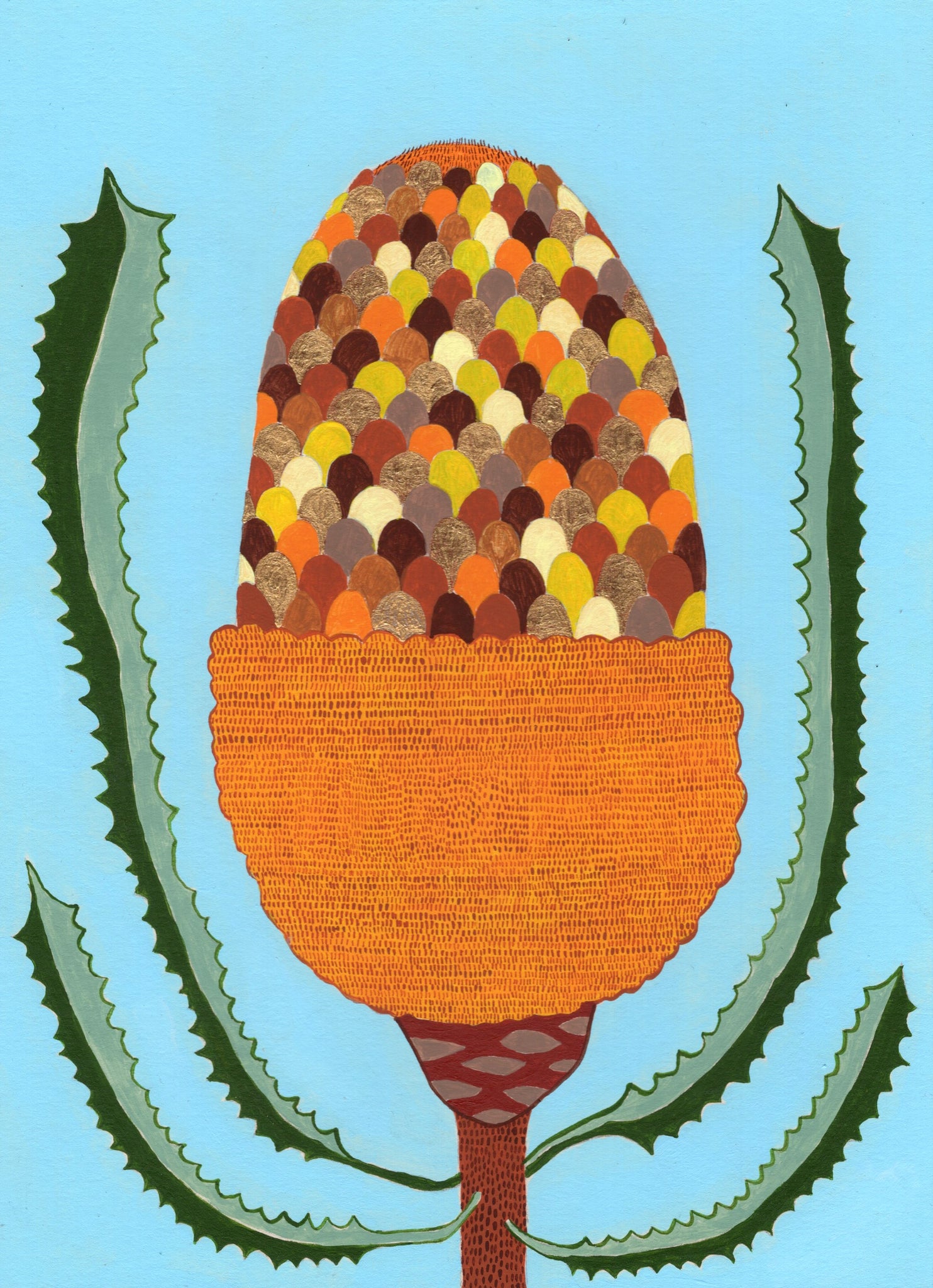 Louise Hamill - Banksia A3 Print (lha006)