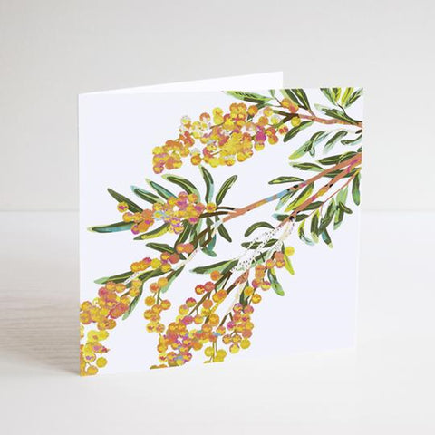 Braw Paper Co. - Acacia Square Gift Card (tri030)