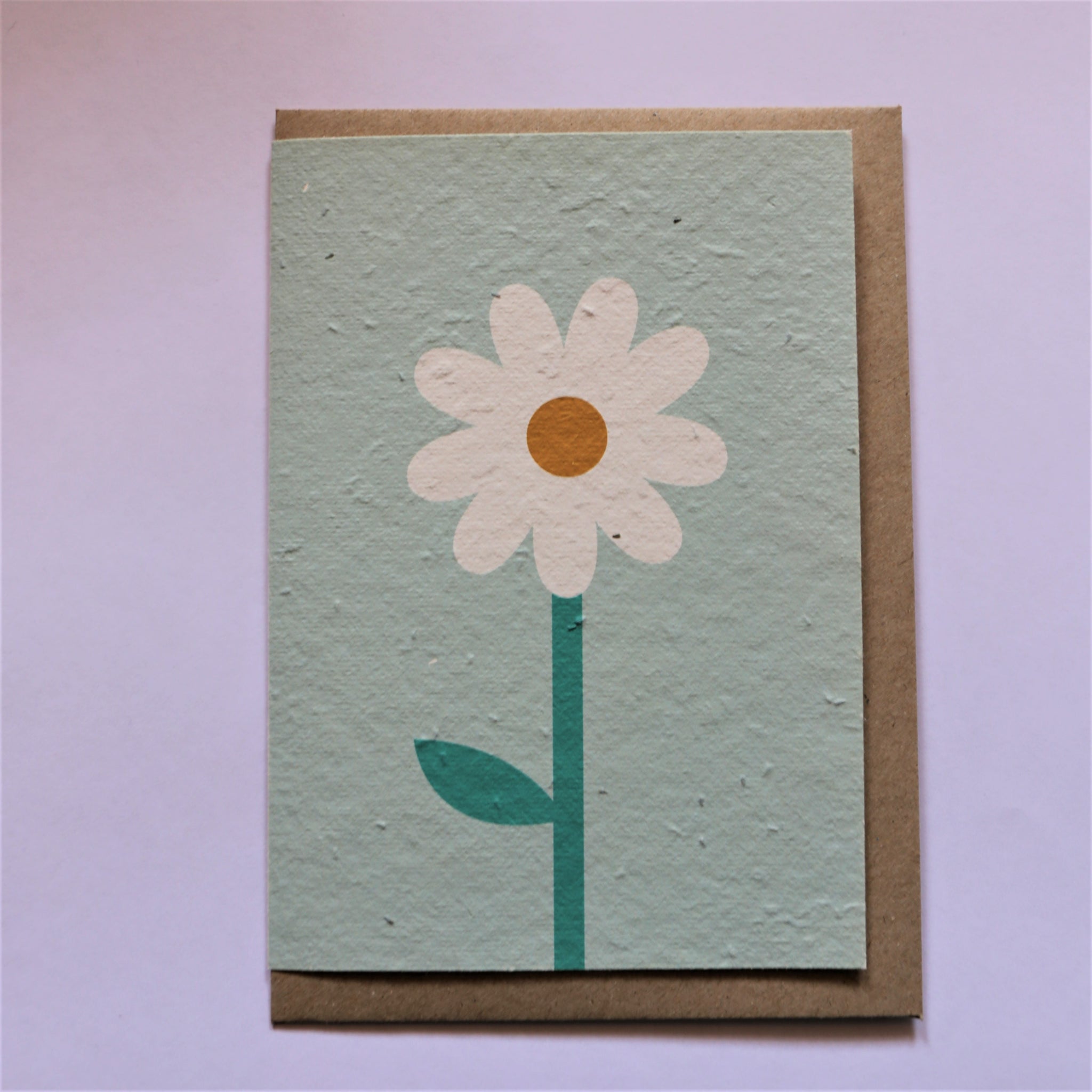 Paper & Bloom - Daisy, Plantable Cards (sreb01)