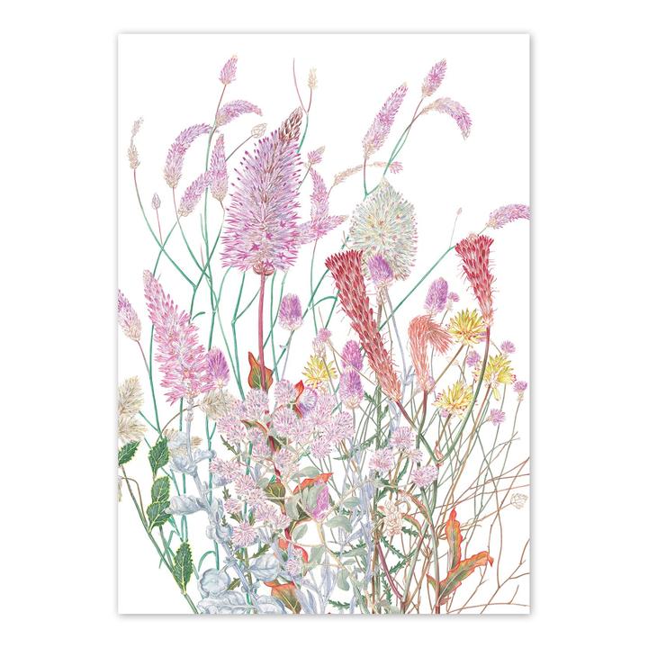 studio Nikulinsky - 'Mulla Mulla and Tails' Rectangle Card A6 (m/anik12)