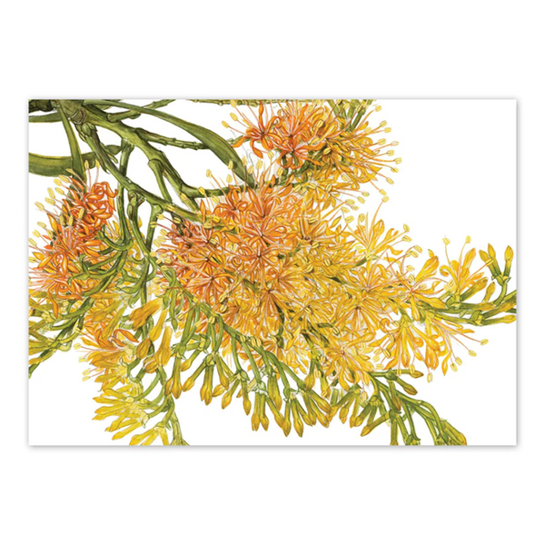 studio Nikulinsky - 'West Australian Christmas Tree' Rectangle Card A6 (m/anik18)