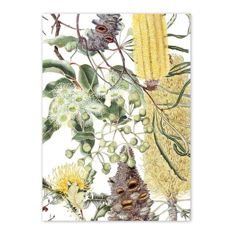 studio Nikulinsky - 'Jarrah Forest 1' Rectangle Card A6 (m/anik10)