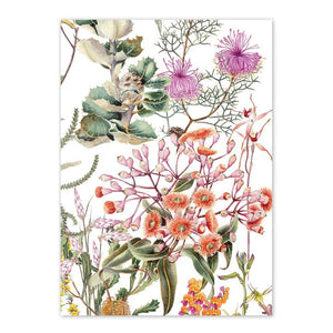 studio Nikulinsky - 'Albany Region 2' Rectangle Card A6 (m/anik11)