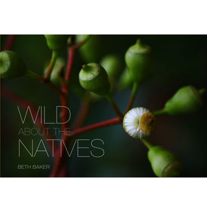 Beth Baker -  'Wild About the Natives' (bbak2)