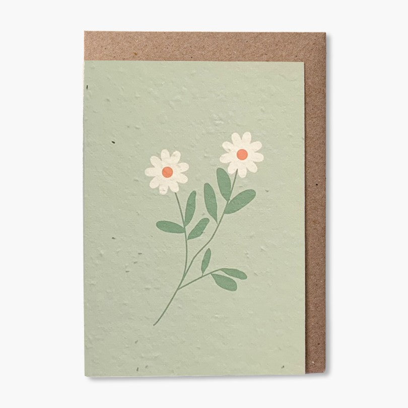 Paper & Bloom - Green Daisy, Plantable Cards (sreb08)