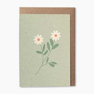 Paper & Bloom - Green Daisy, Plantable Cards (sreb08)