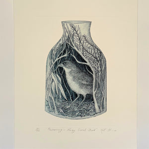 Kati Thamo - 'Preserving - Noisy Scrub Bird' , Etching (kth093)