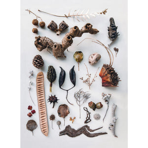 Pattern Hunters - Various Greeting Cards (m/phu007)